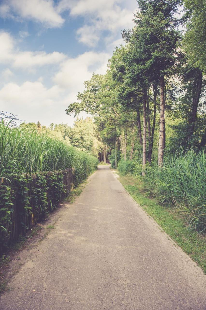 Landhuisjes Bij De Wouterbron Opglabbeek Εξωτερικό φωτογραφία